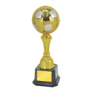 Football Trophy Football Trophy ST1013 Football Trophy Football Trophy ST1013