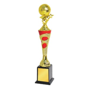 Football Trophy Football Trophy ST1020