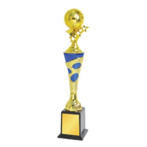 Football Trophy Football Trophy ST1021