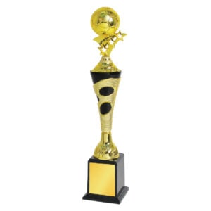 Football Trophy Football Trophy ST1022